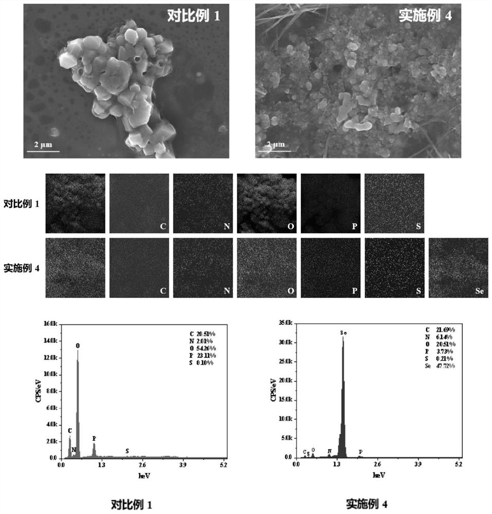 Bacillus licheniformis extracellular polymeric substance organic selenium product as well as preparation method and application thereof