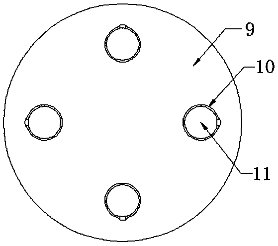 Temperature transmitter with protection and shock absorption functions