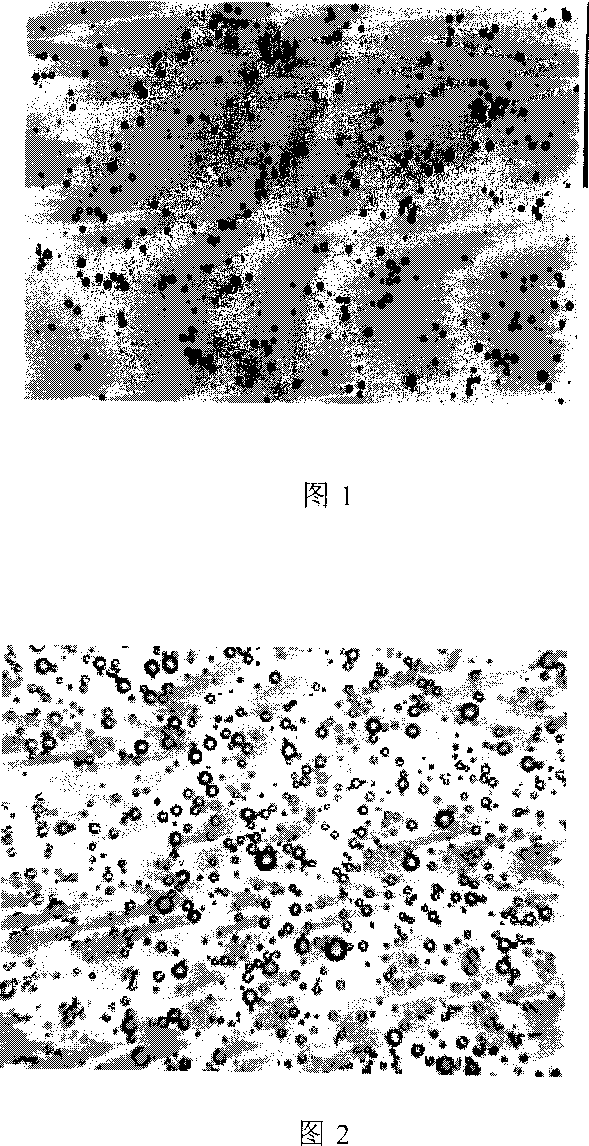 Ultrasonic microvesicle as immuno adjuvant and vaccine carrier