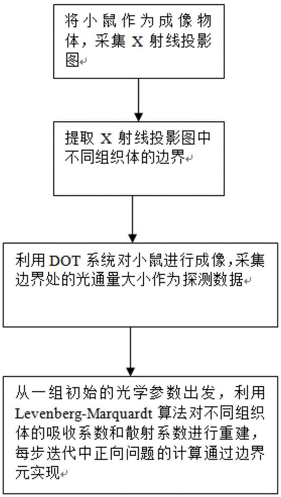 An Image Reconstruction Algorithm of Dot/xct Dual Mode Imaging Based on Boundary Elements