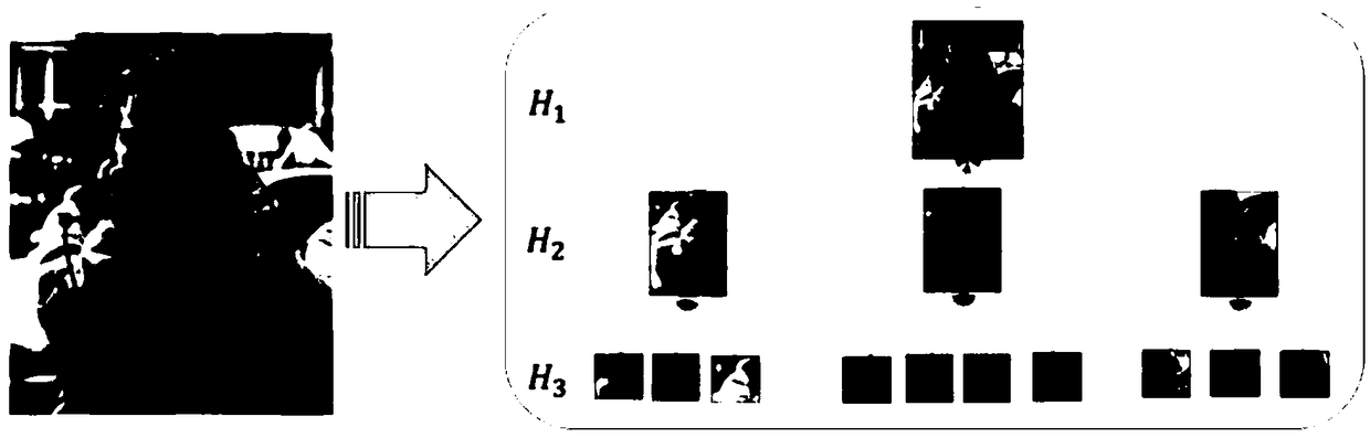 Image human motion recognition method based on hierarchical information transfer