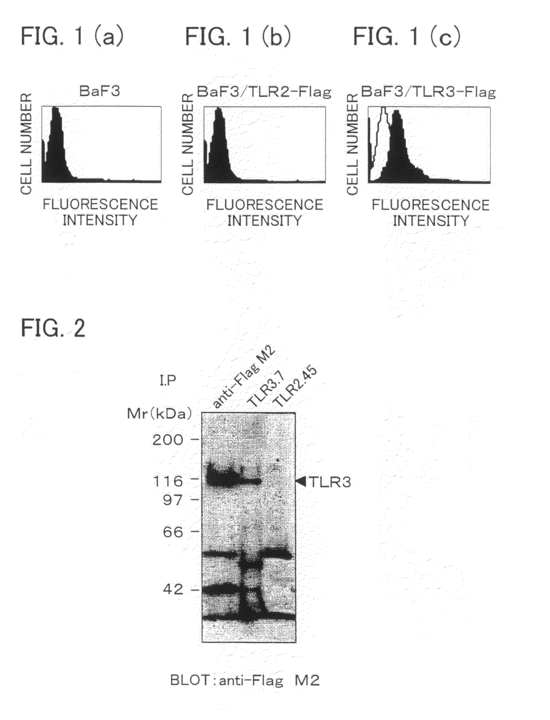 Antibody and inhibitor, and transfection method or kit using them