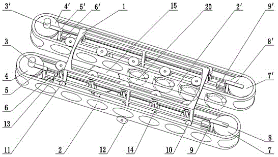 Conveying and cutting device of head vegetable harvesting machine