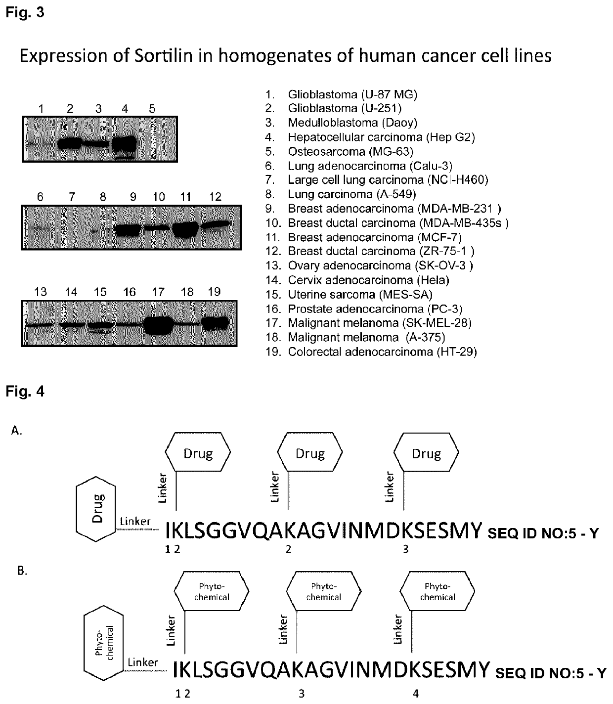 Peptide compounds and peptide conjugates for the treatment of cancer through receptor-mediated chemotherapy