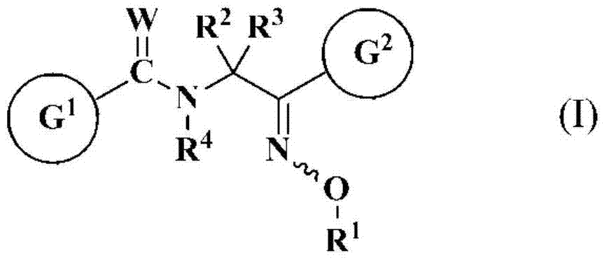 Oxime substituted amide compounds and pest control agents