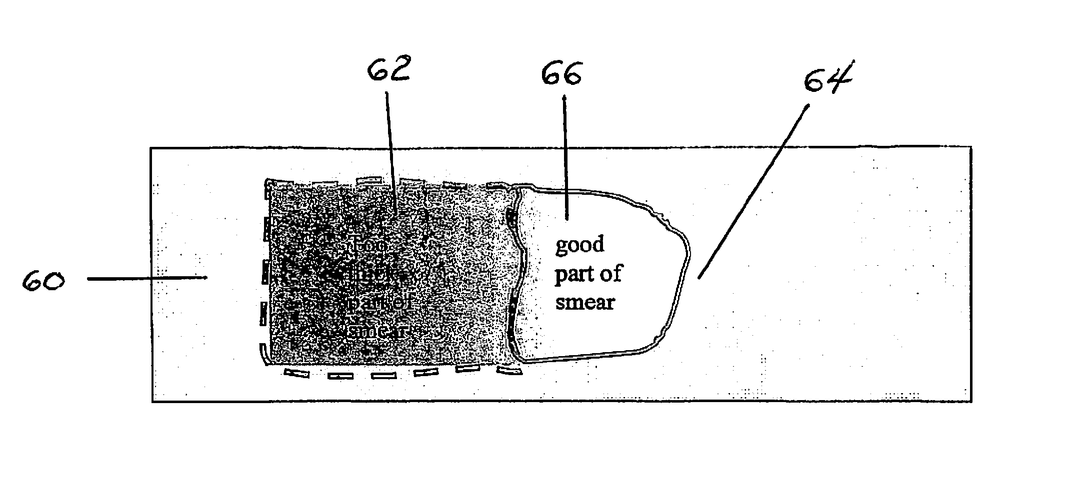 Method for performing a blood count and determining the morphology of a blood smear