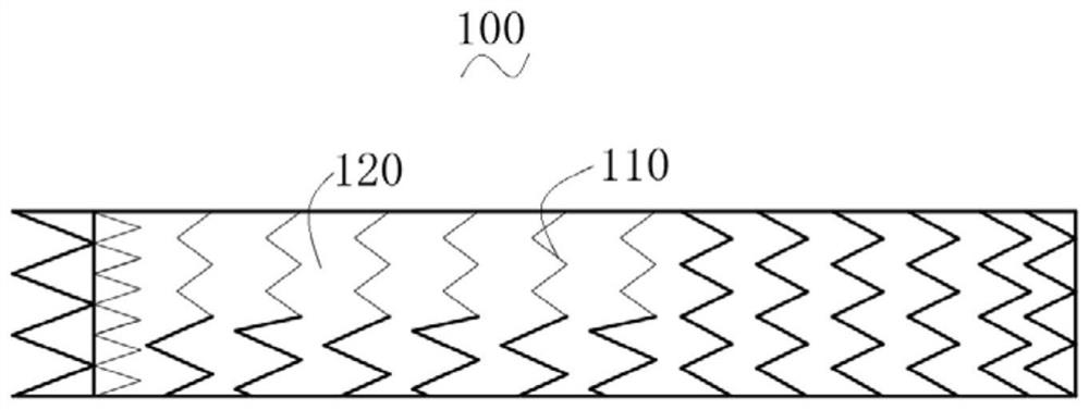 Stent Graft