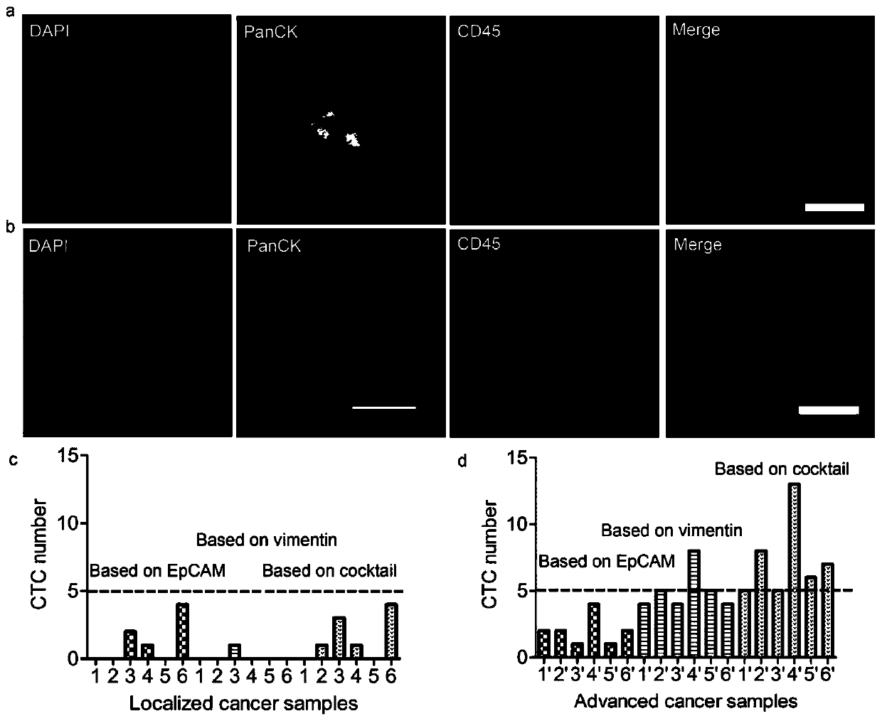 A Method for Sorting and Enriching Circulating Tumor Cells Relying on Mixed Antibodies