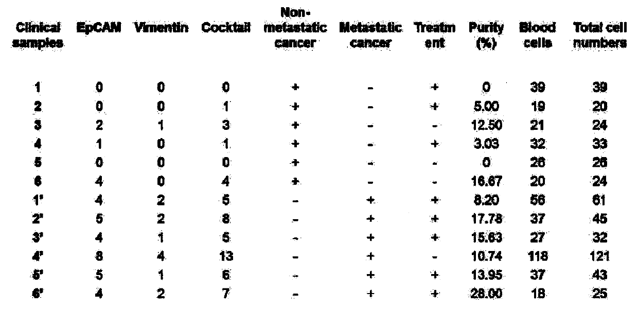 A Method for Sorting and Enriching Circulating Tumor Cells Relying on Mixed Antibodies