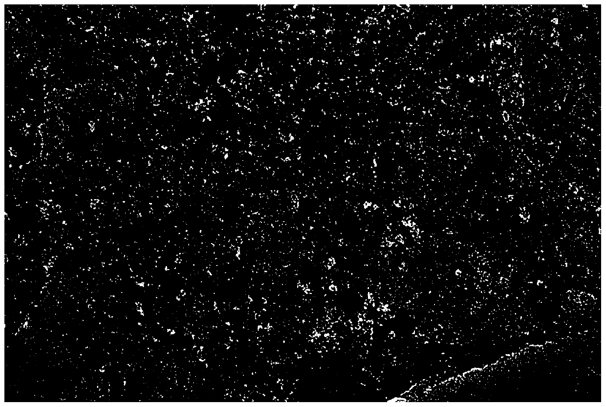 Preparation method of porous WO3/C nanosheet mesoporous composite photocatalyst