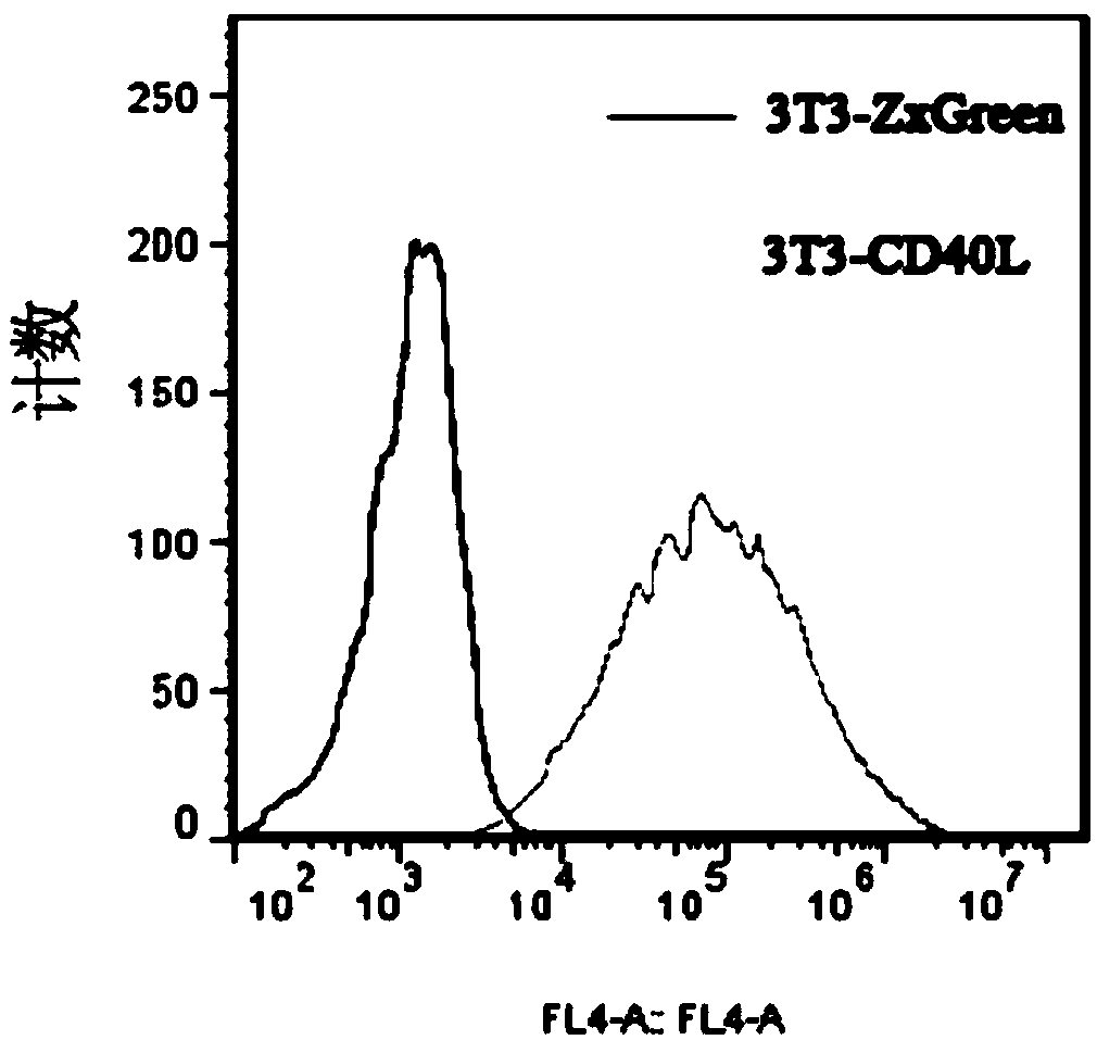 Anti-H7N9 full-human monoclonal antibody 3F12 as well as preparation method and application thereof