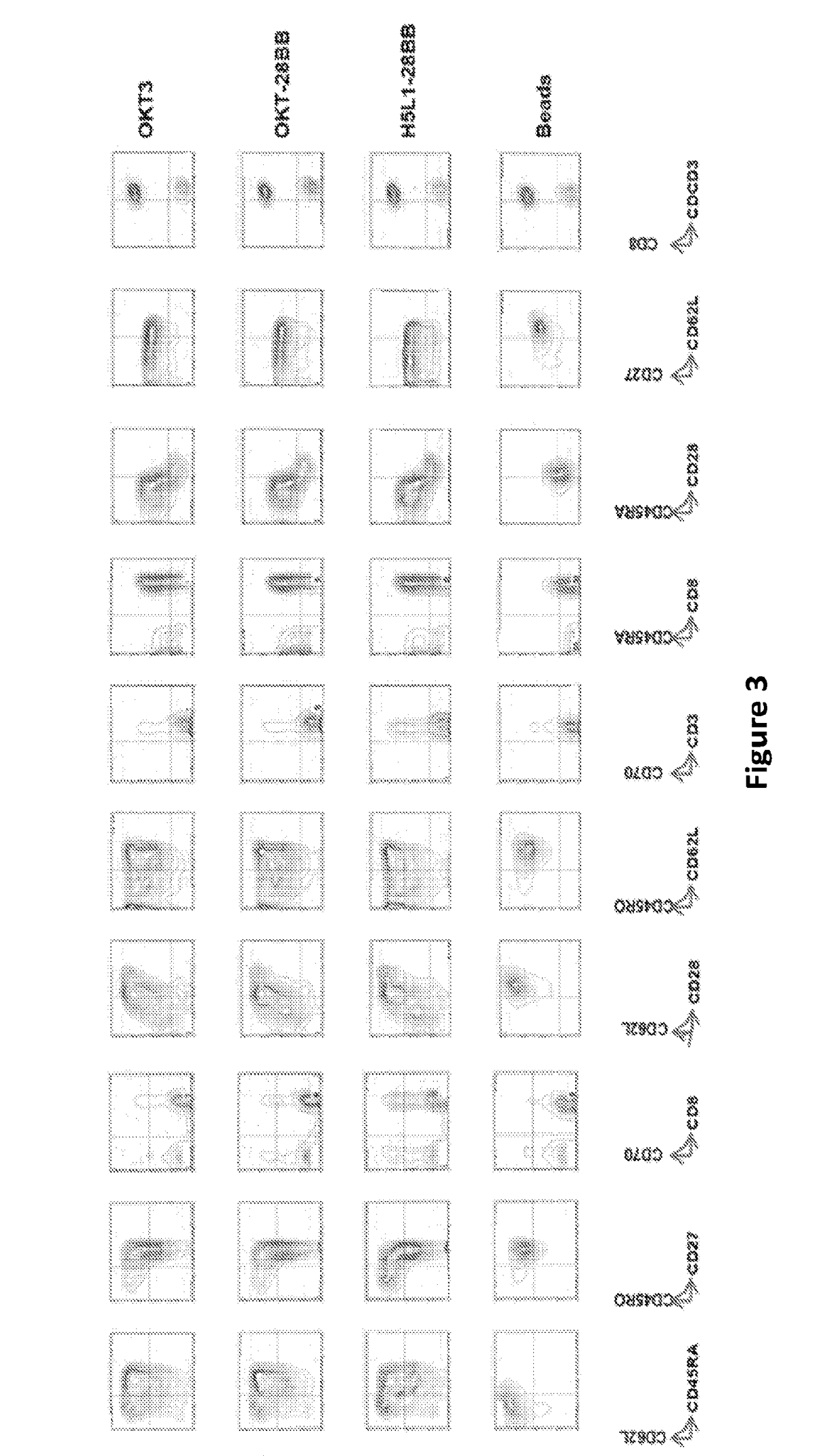 Compositions and methods of stimulating and expanding t cells