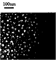 Targeting polypeptide-gene composite as well as preparation method and application of composite