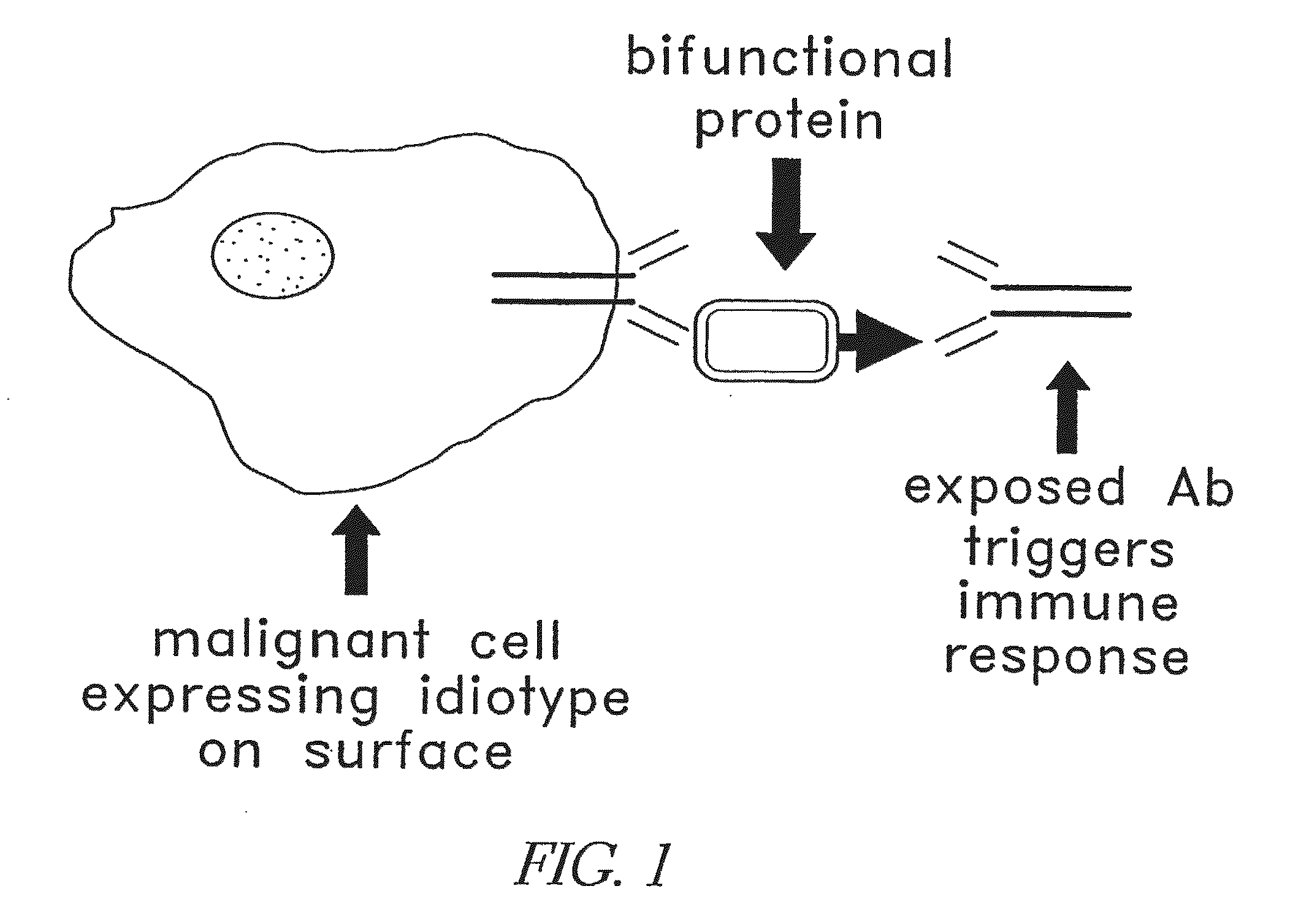 Method for making targeted therapeutic agents