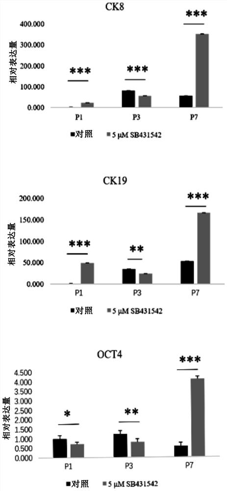 A method for inhibiting epithelial-mesenchymal transition of human amniotic membrane epithelial cells