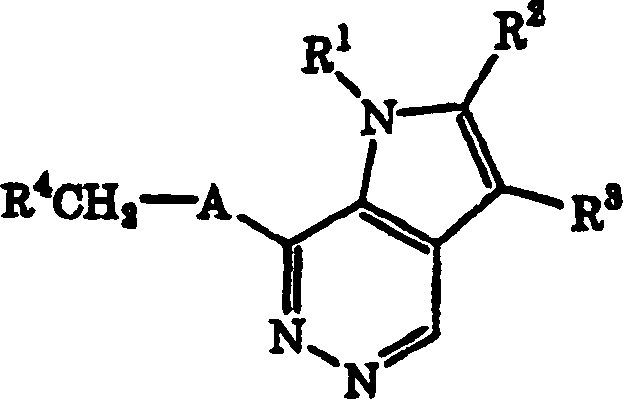 Pyrrolopyridazine compound