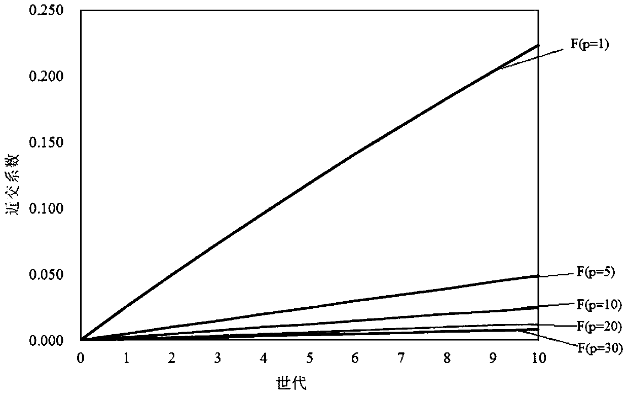 Method for predicting and avoiding inbreeding degree in conventional breeding of macrobrachium nipponense