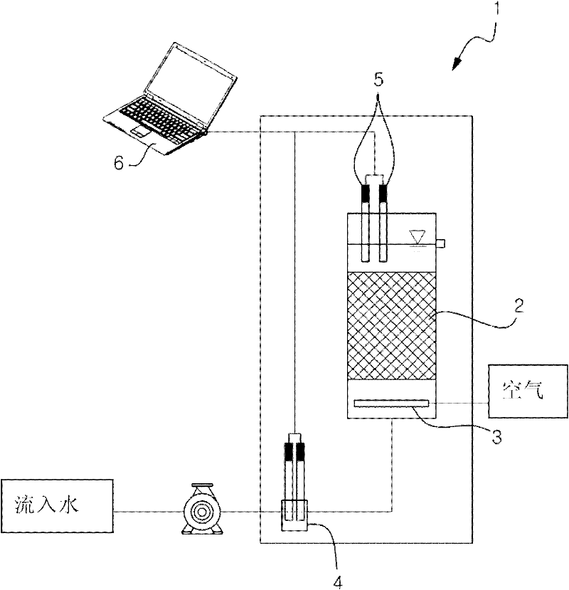 Apparatus for detecting toxicity in water using sulfur-oxidizing bacteria
