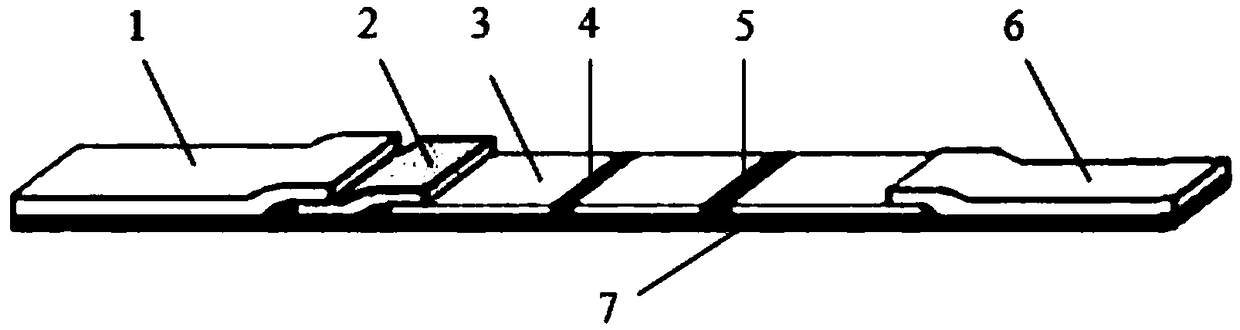 Colloidal gold test paper, preparation method thereof and rice seed vigor detecting method