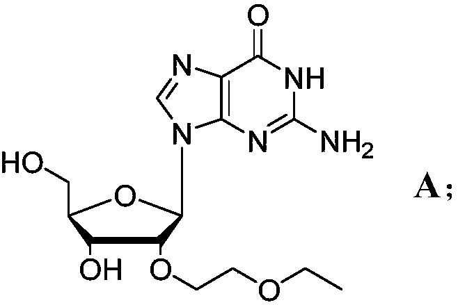 Novel modified nucleoside 2'-EOE-guanosine and preparation method thereof