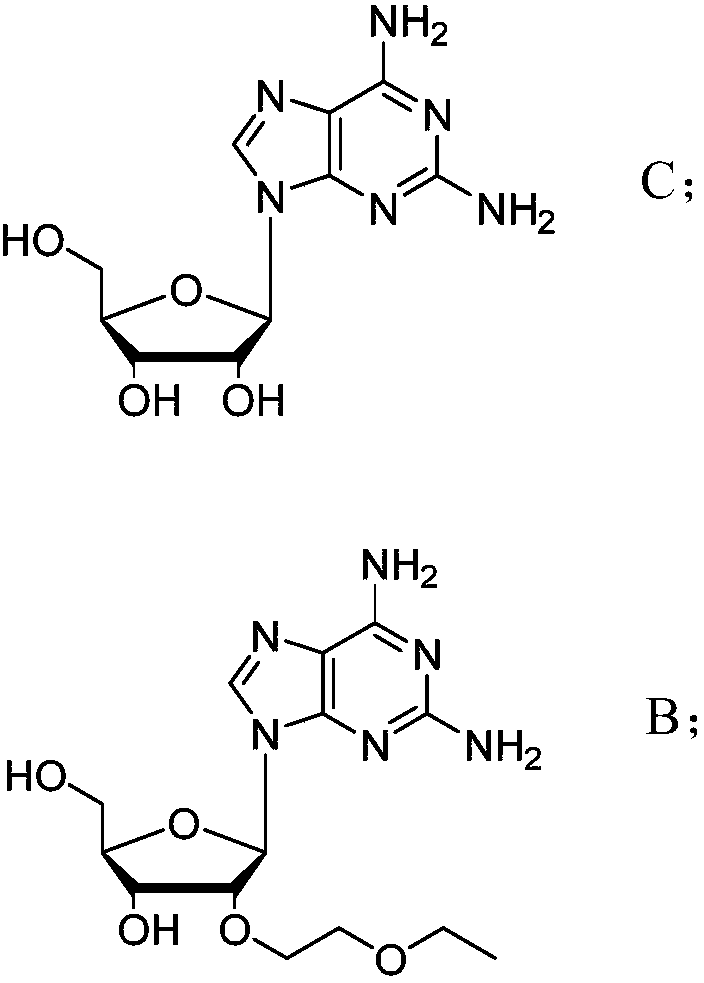 Novel modified nucleoside 2'-EOE-guanosine and preparation method thereof