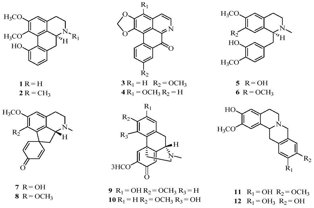 A kind of total alkaloid extract and application thereof