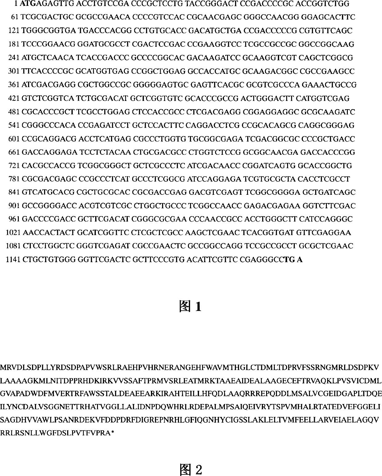 Nikemycin Z component engineering bacterium and its application