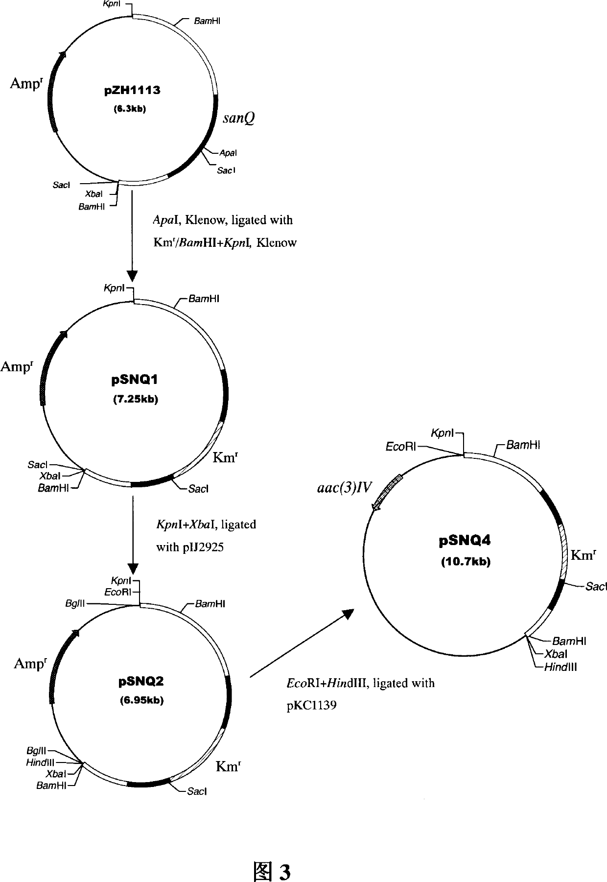 Nikemycin Z component engineering bacterium and its application