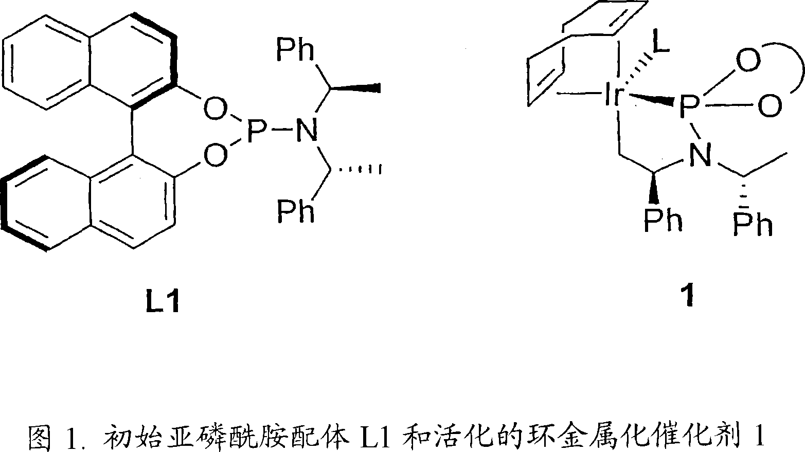 Enantioselective phosphoramidite compounds and catalysts