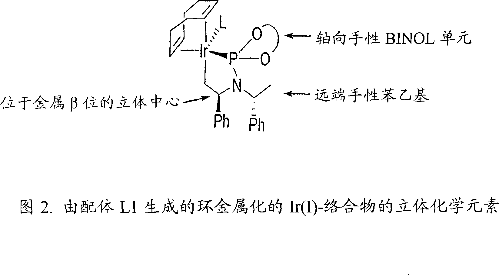 Enantioselective phosphoramidite compounds and catalysts
