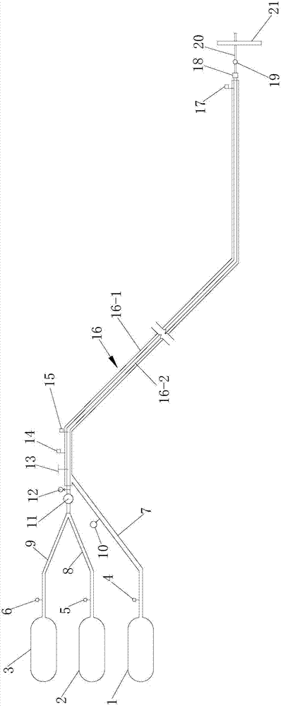 Mineral liquid carbon dioxide conveying device and leakage monitoring method thereof