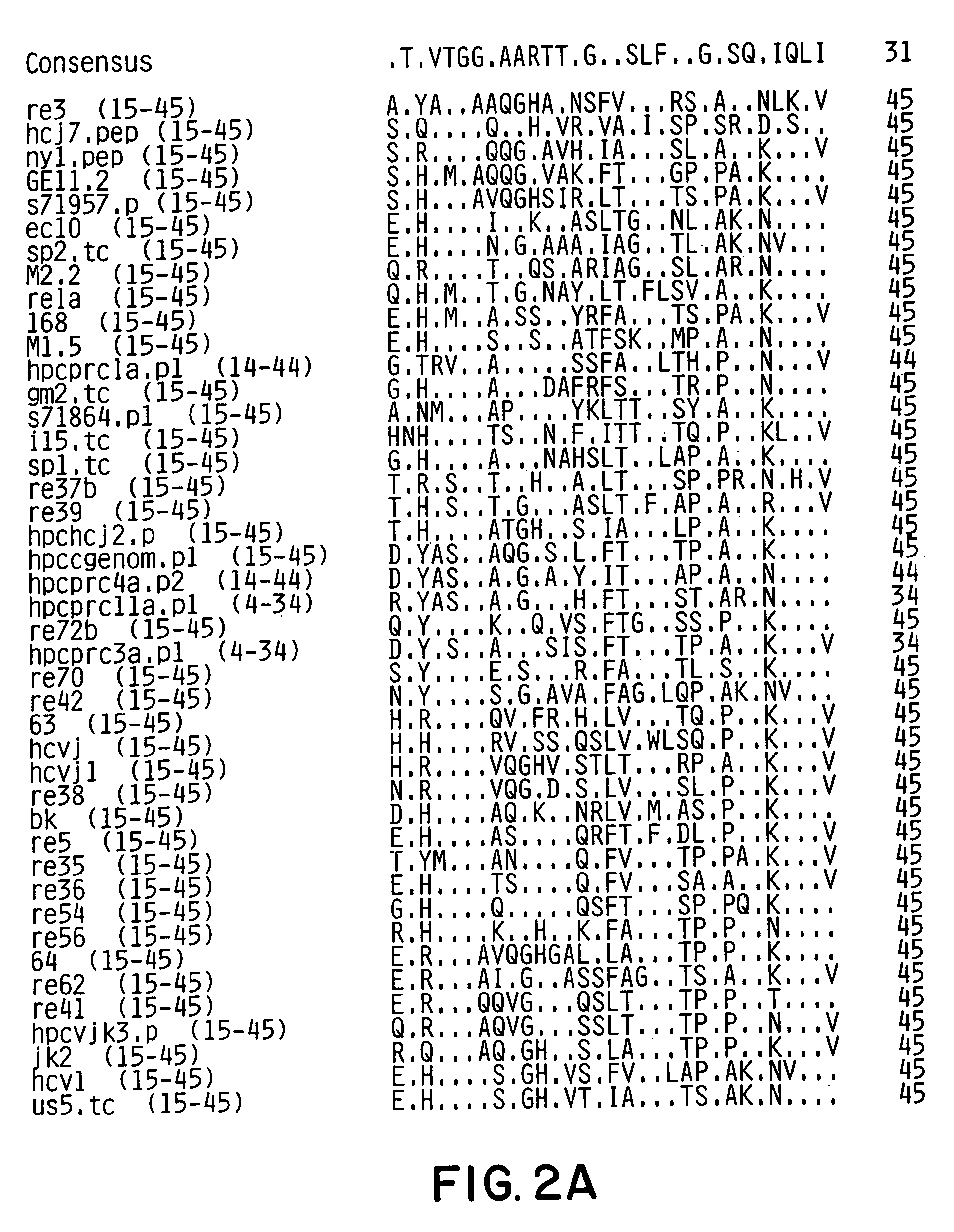 Conserved motif of hepatitis C virus E2/NS1 region