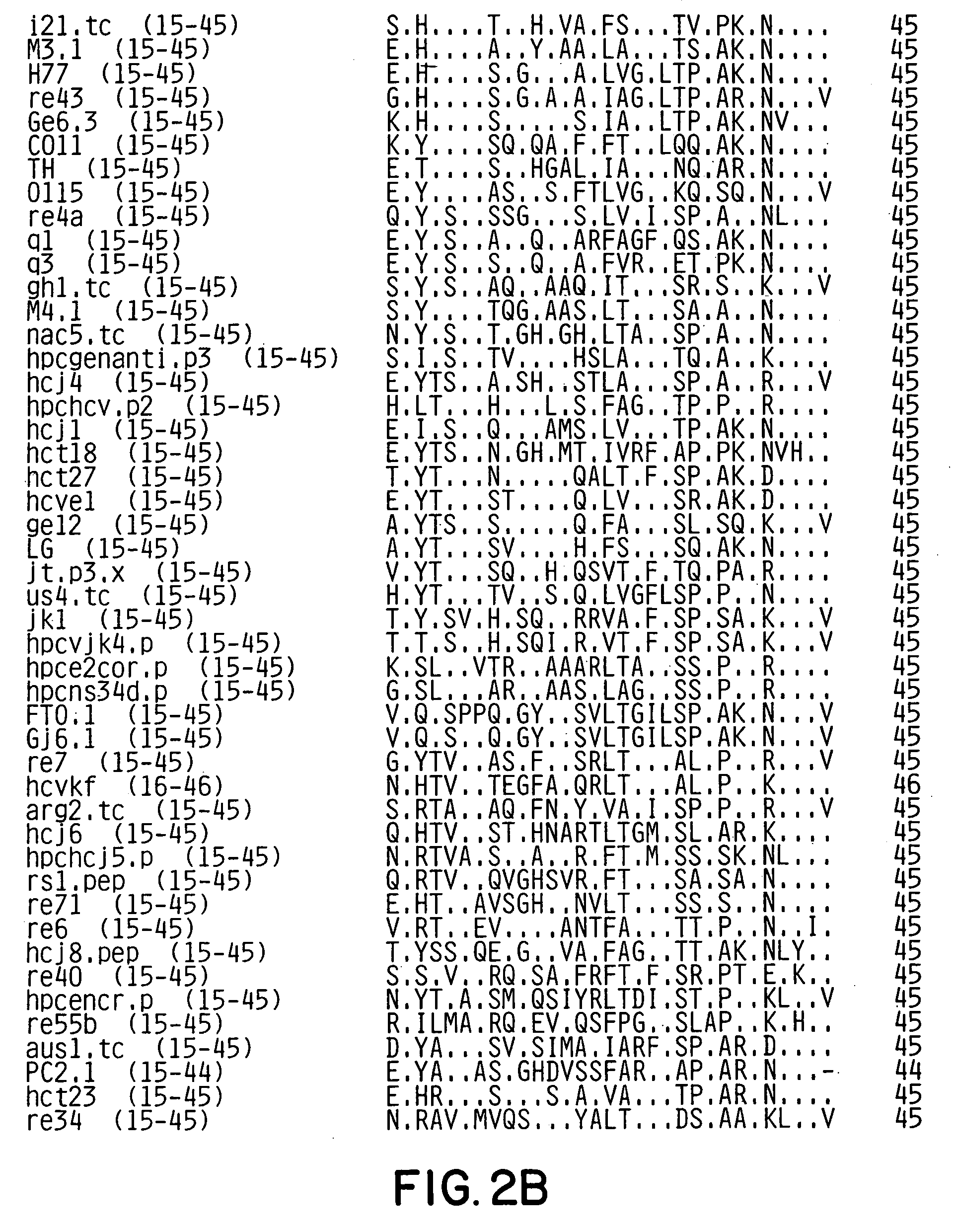 Conserved motif of hepatitis C virus E2/NS1 region