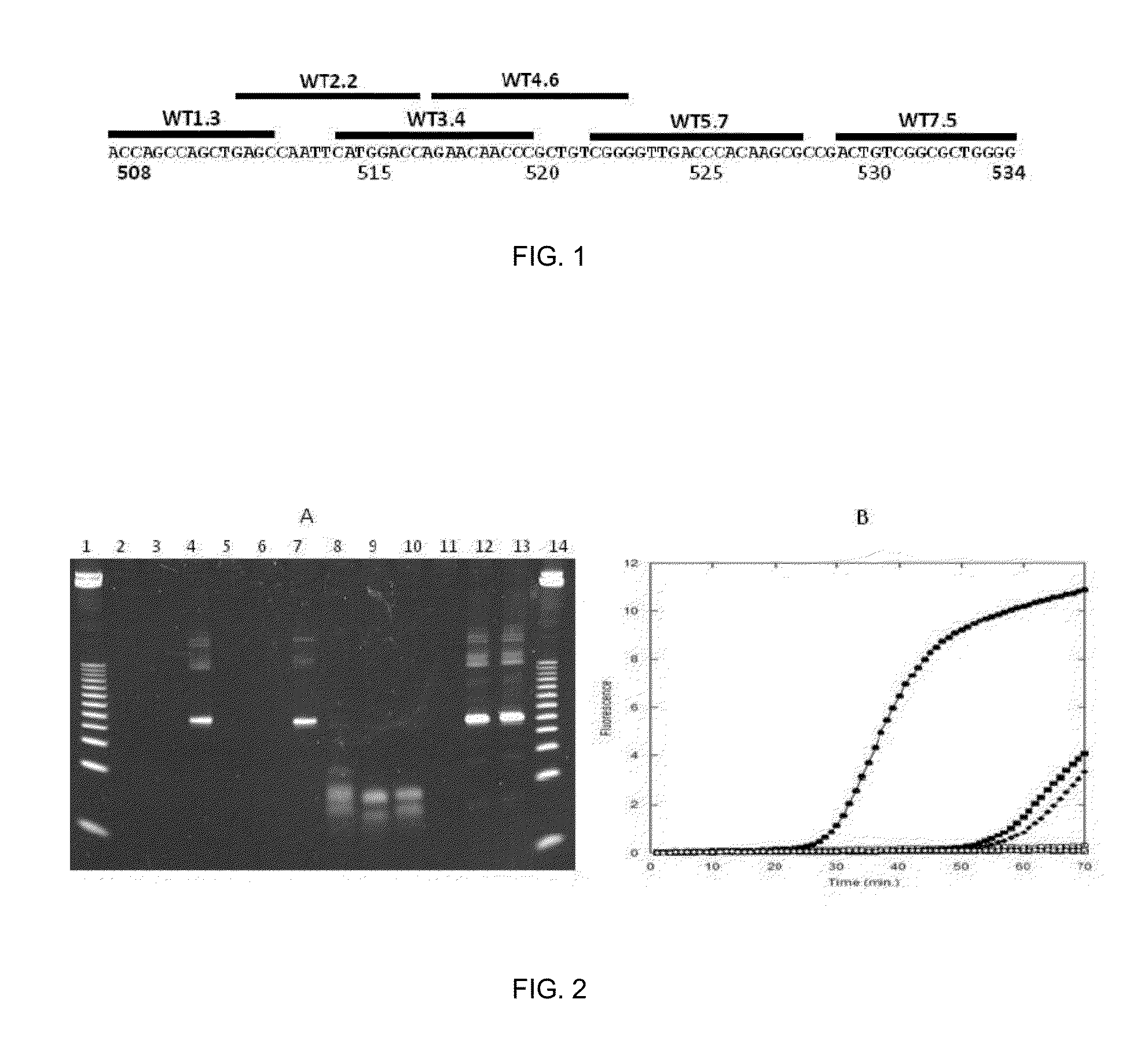Methods of isothermal amplification using blocked primers