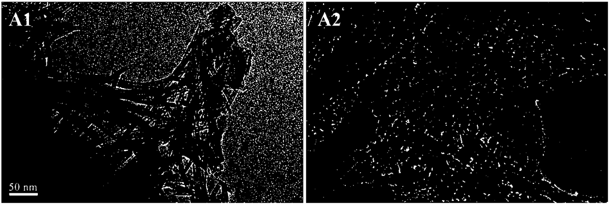 Method for preparing TiO2 nanotubes (TNTs) based composite through biological method