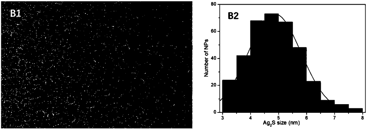 Method for preparing TiO2 nanotubes (TNTs) based composite through biological method