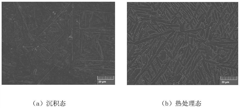 Heat treatment method for regulating and controlling static and dynamic load mechanical properties and anisotropy of SLM titanium alloy