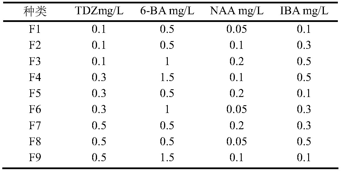 Method for rapid propagation of embryogenic cells of fraxinus mandshurica