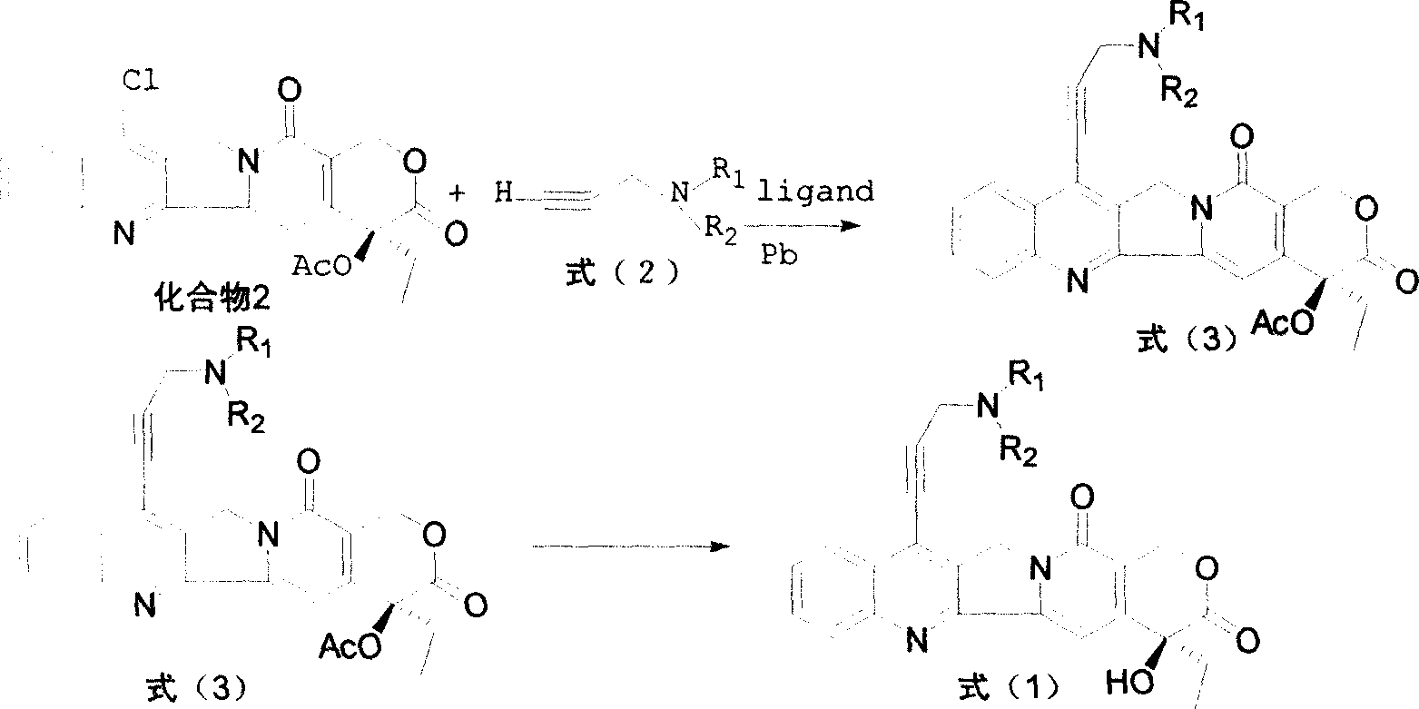 Water-soluble camptothecine derivative and its preparation process and application thereof