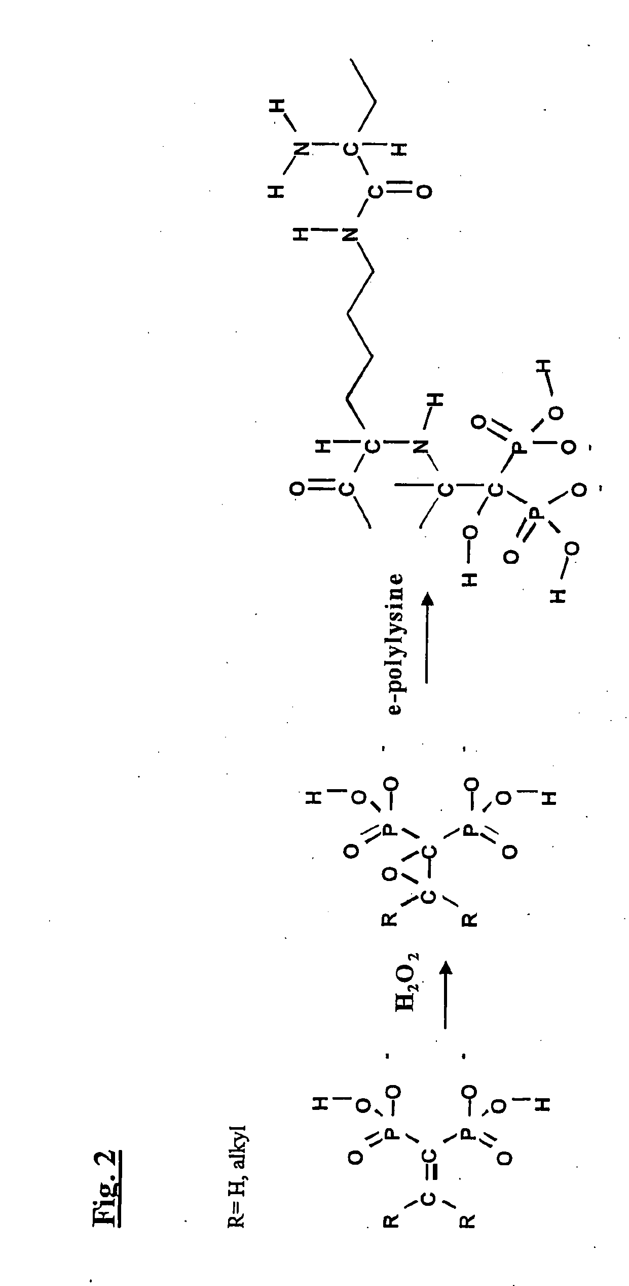 Anticariogenic Proteins & Peptides & Saccharides