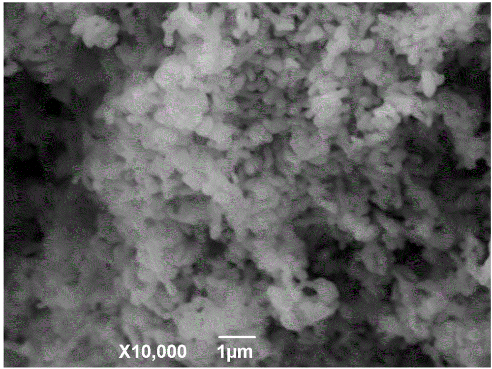 Preparation method for rice grain-shaped alpha-Fe2O3 (alpha-ferric oxide) nanometer powder