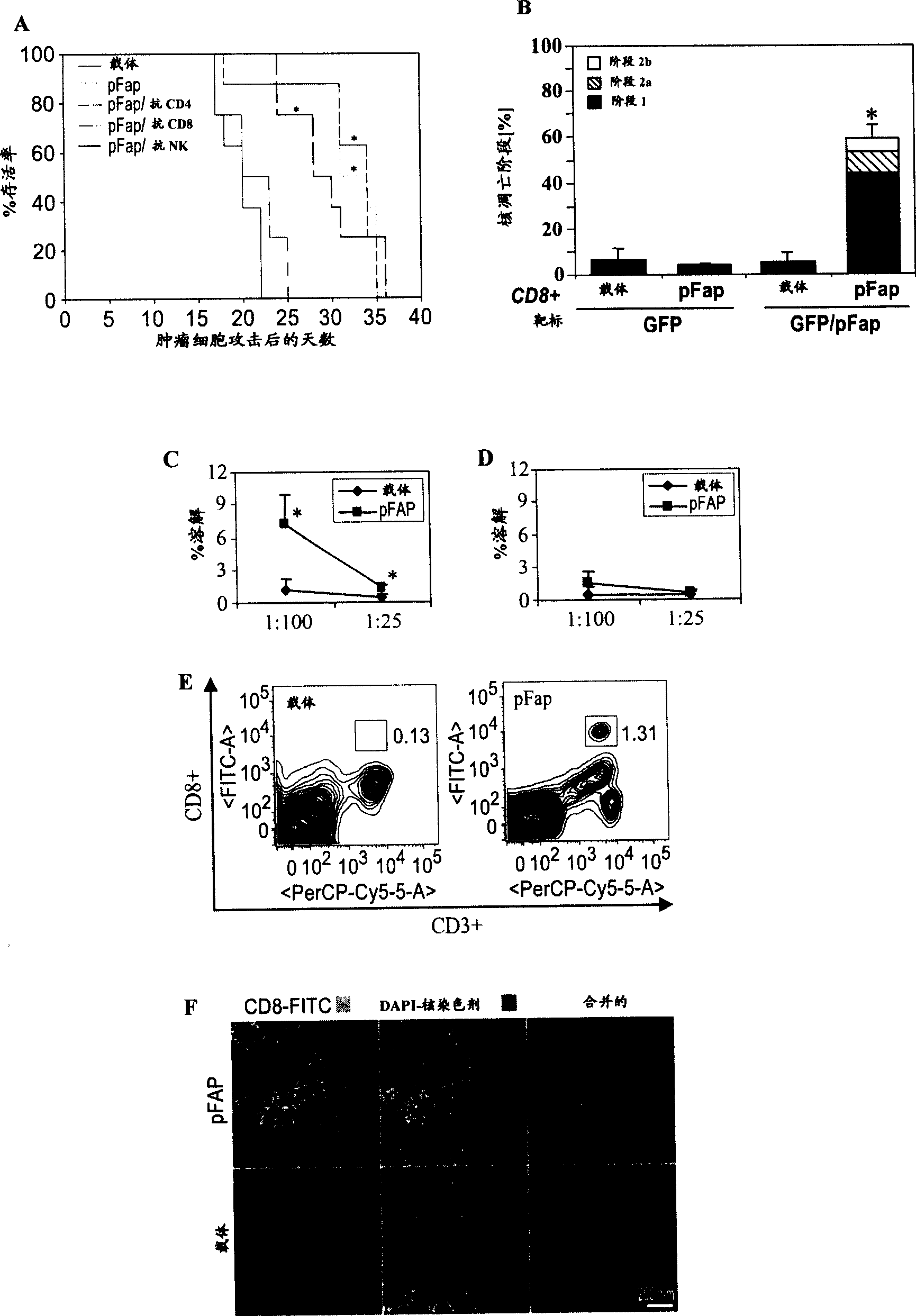 DNA composition against tumor stromal antigen FAP and methods of use thereof