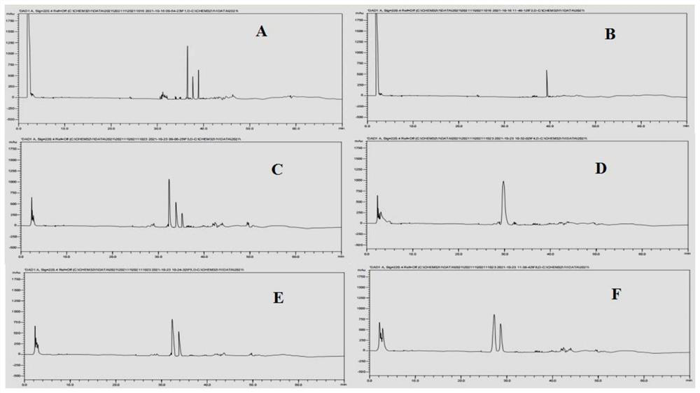 Kelp polypeptide, antibacterial repairing whitening toothpaste, preparation method and application