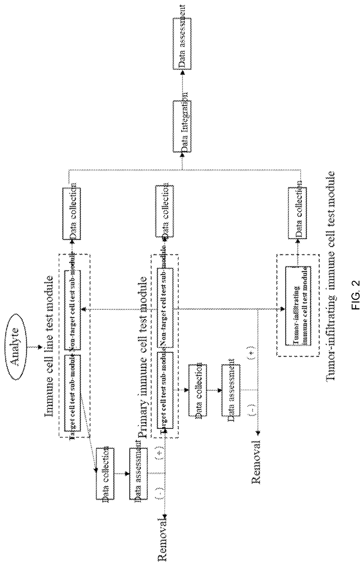 System and method for screening and assessing agents for tumor immunotherapy