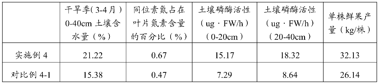 Drought-resisting fertilizing method for macadimia nuts in mountainous region