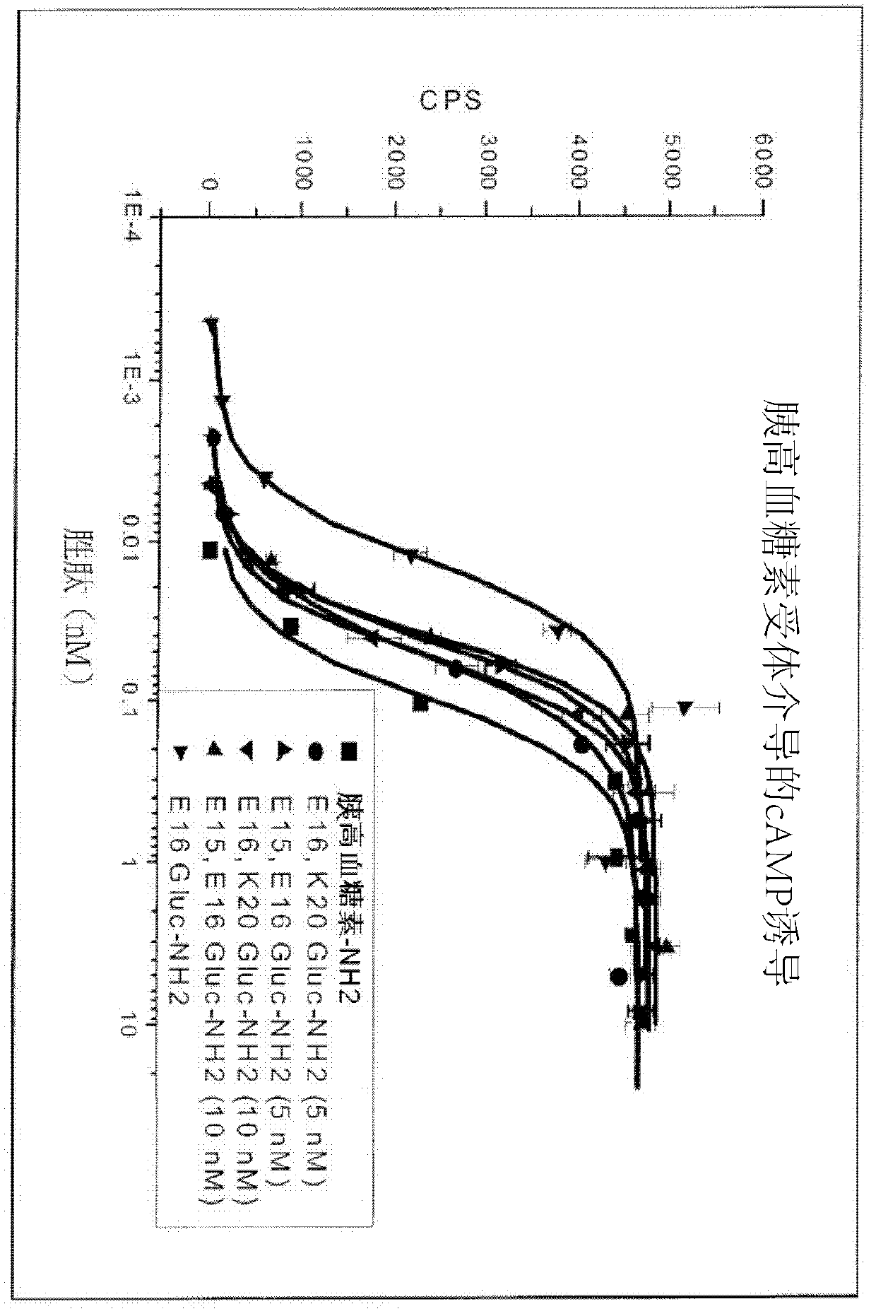 Gip receptor-active glucagon compounds