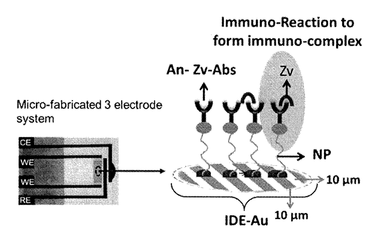 Rapid zika virus detection using nano-enabled electrochemical sensing system