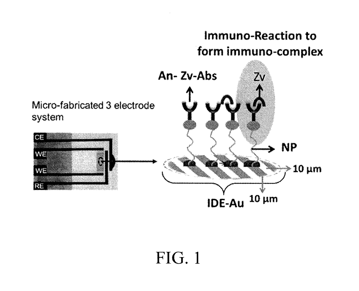 Rapid zika virus detection using nano-enabled electrochemical sensing system