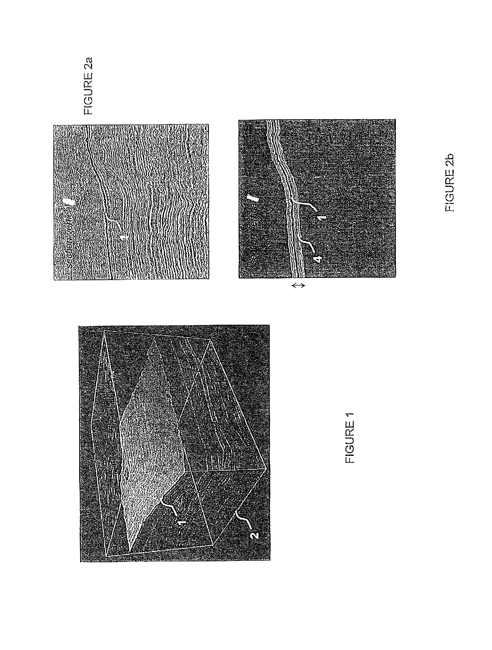 Method for hierarchical determination of coherent events in a seismic image