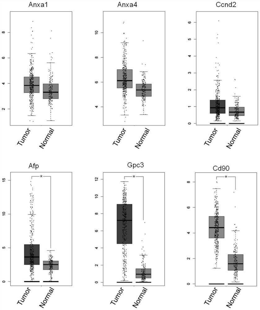 Application of biomarker in preparation or screening of liver cancer diagnostic reagent